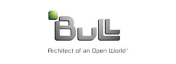 Bull
